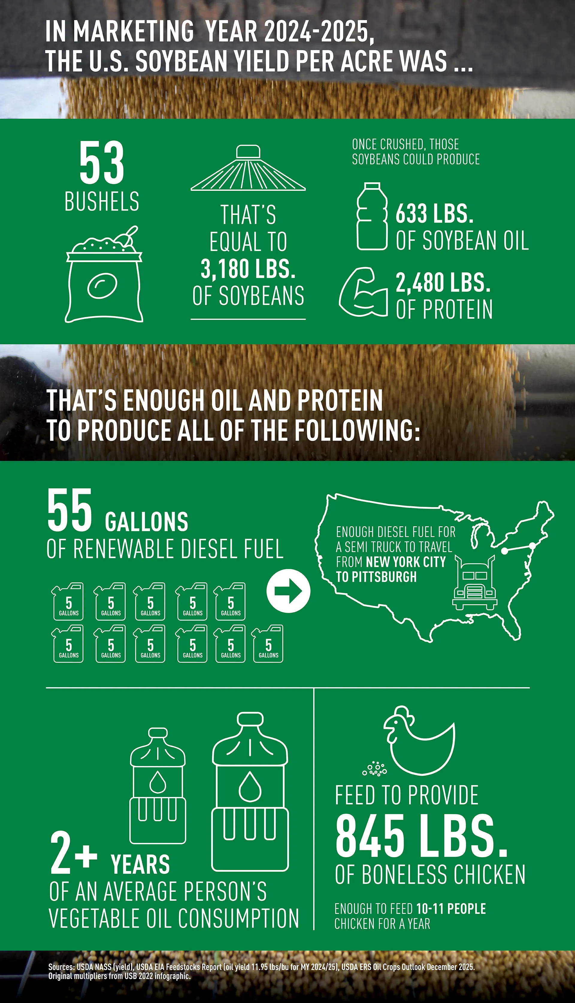 Infographic showing U.S. soybean yield per acre in MY 2024-2025: nearly 53 bushels of soybeans producing about 633 pounds of oil and 2,480 pounds of protein, enough for renewable diesel, vegetable oil, and animal feed.